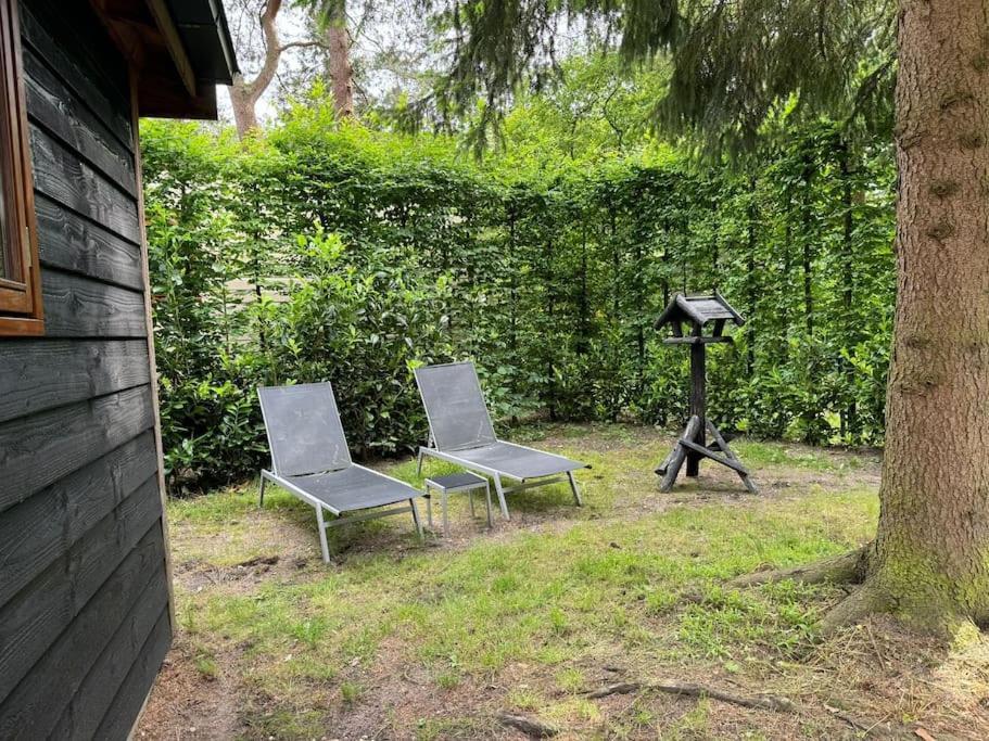 Sfeervol Chalet De Dassenburcht 엠스트 외부 사진